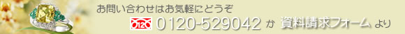 お問い合わせはフリーダイヤル0120-529042