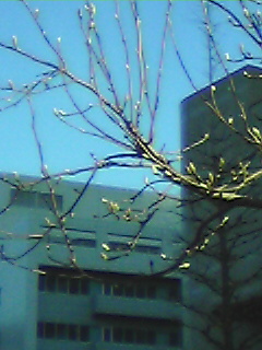 041209_0854~01.jpg