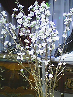 050105_1902~01.jpg