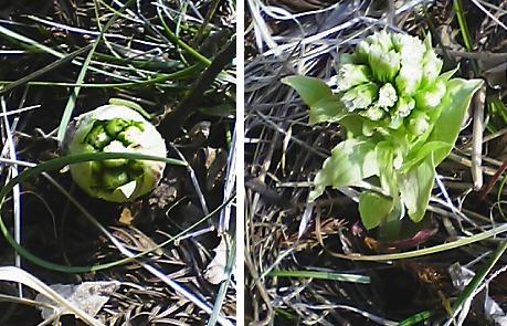 050324_1439~01.jpg