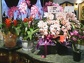 050325_1456~01001.jpg