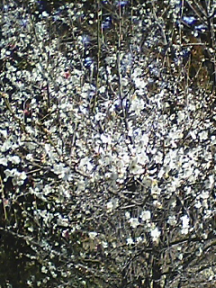 050326_0838~03.jpg