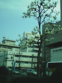 050418_0853~01.jpg