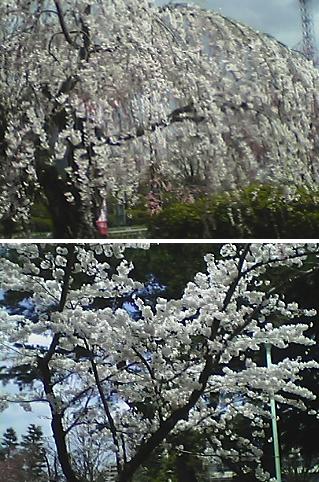 050421_1139~01.jpg