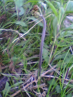 050504_0715~01.jpg