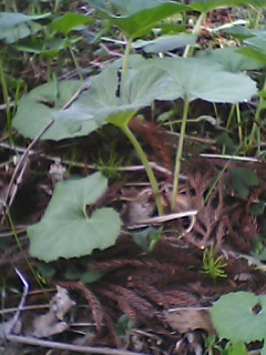 050504_0731~01.jpg