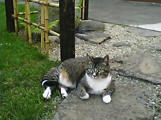 050612_1848~02001.jpg