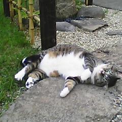050612_1848~03.jpg