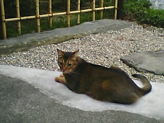 050612_1850~01001.jpg