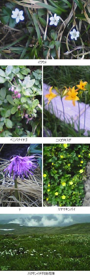 050702_0811~02.jpg