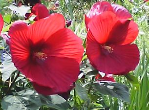 050814_1335~01.jpg