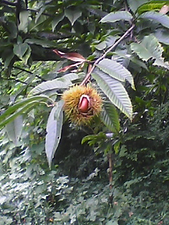 050922_0851~01.jpg