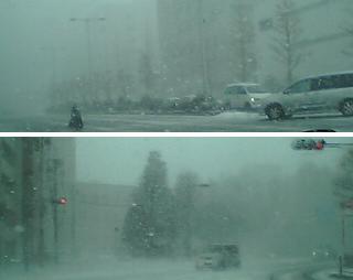 051218_1001~02.jpg