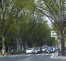 060501_1649~02.jpg
