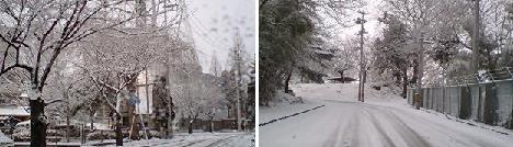 雪景色