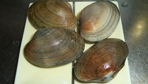 CIMG0449a.JPG