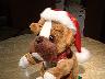 CIMG0958d.JPG