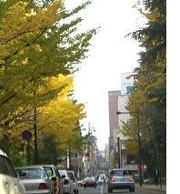 半落ちのラストシーンのロケ地