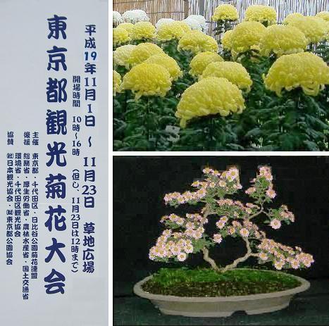 菊花大会