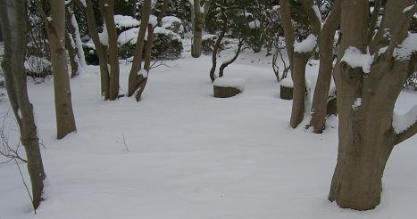 雪景色
