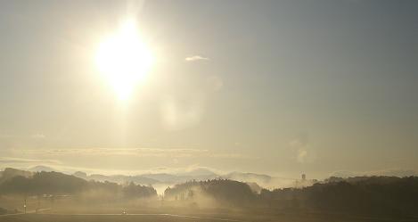 朝靄
