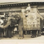 画像をクリックして下さい。