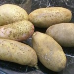 画像をクリックして下さい