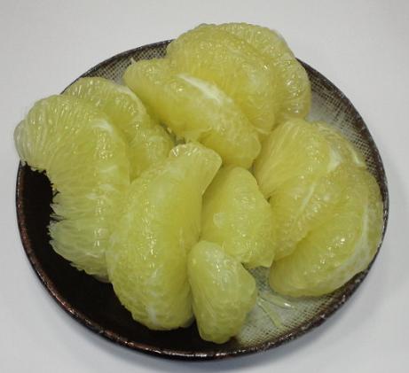 土佐文旦