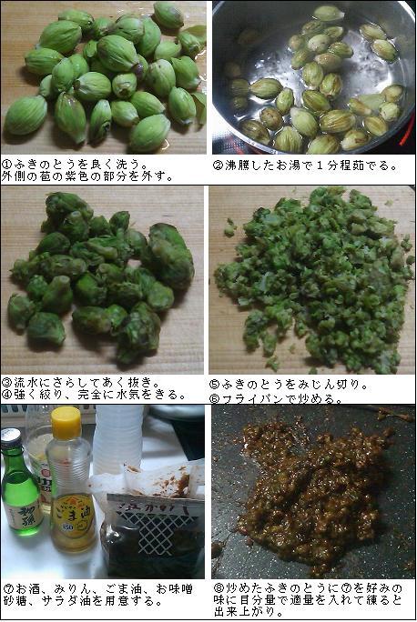 ふきのとう味噌