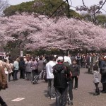 画像をクリックすると拡大