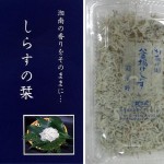 画像をクリックすると拡大