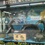 画像をクリックすると拡大