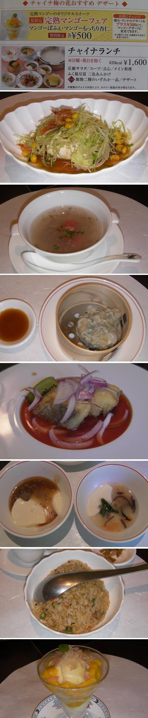 Chaina梅の花ランチ