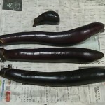 画像をクリックすると拡大