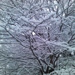 画像をクリックすると拡大
