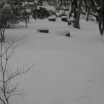 雪景色