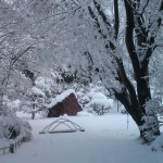 仙台の今冬最高積雪