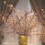 満開の桜