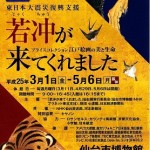 特別展入場券