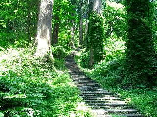 羽黒山への階段は２，４４６段。 写真は、『三の坂』